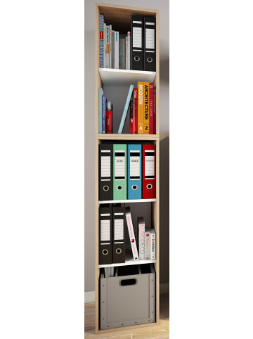 VCM  Holz Büro Regal Bücher Ordner Aktenregal Lona l 5f in Sonoma-Eiche