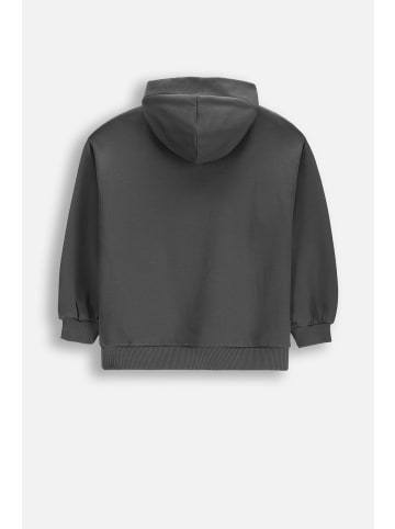 Coccodrillo Baumwoll-sweatshirt in grau