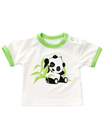 Baby Sweets Shirt Kurzarm Happy Panda in grün weiß