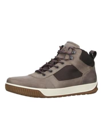 Ecco Sneaker in Taupe/Braun