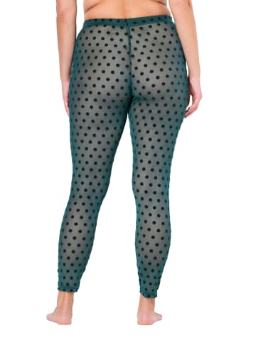 Ulla Popken Strumpfhose in schwarzoliv