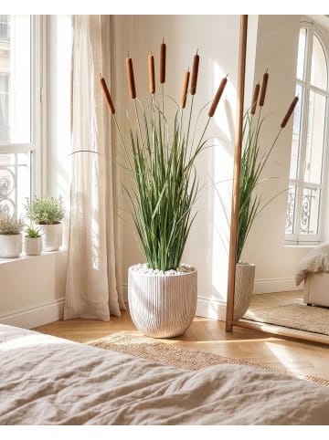 Beliani Kunstpflanze BULRUSH in Grün/Braun - (W) 30 x (H) 135 x (L) 30 cm