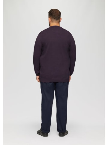 s.Oliver Strickpullover in 4868_aubergine