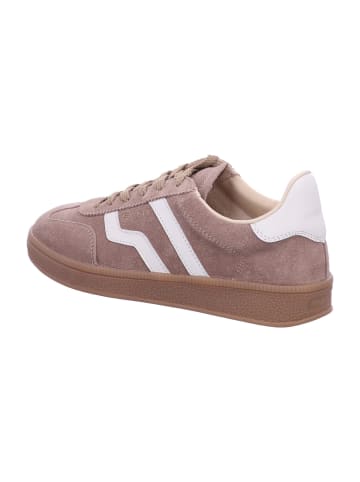 Gant Sneaker Low in braun