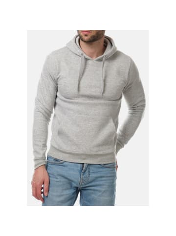 HopenLife Hoodie ACCOLADE in Grau