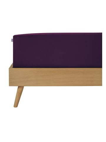 Schiesser Premium Jersey Spannbettlaken Flexi in Aubergine