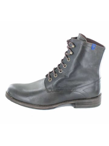 Floris van Bommel Boots in schwarz