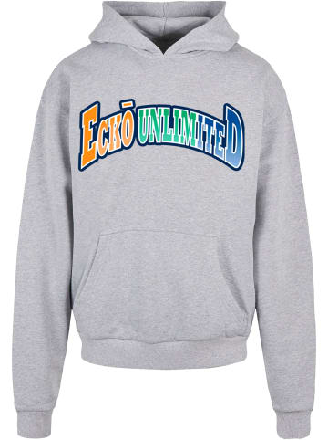 Ecko Unltd. Ecko Unltd. Kapuzenpullover in grey
