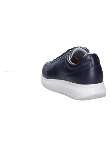 Joya Schnürschuh OLIVER DARK BLUE II in blau
