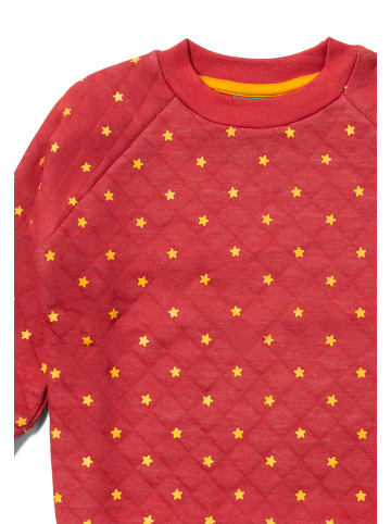 Little Green Radicals Bio-Steppsweatshirt in Rot