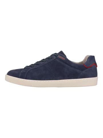 Pius Gabor Sneaker in Blau/Rot