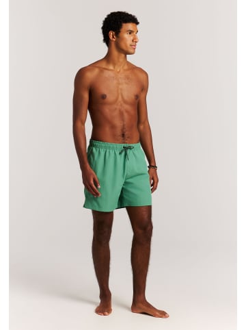 Protest " Faster in Cactus Green