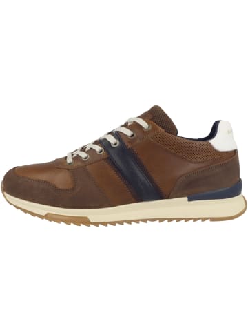 Bullboxer Sneaker low 989K26213F in braun