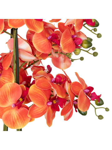 Atmosphera Créateur d'intérieur Künstliche Orchidee in mehrfarben
