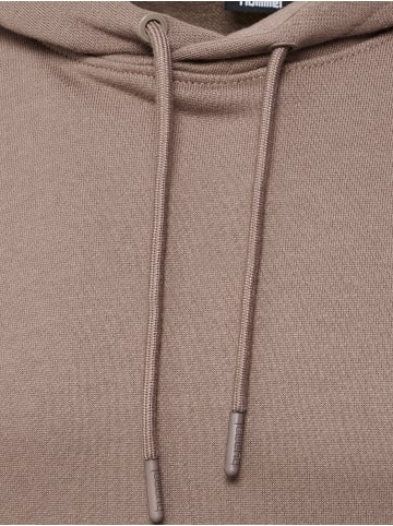 Hummel Hummel Kapuzenpullover Hmllgc Nate Herren in IRON