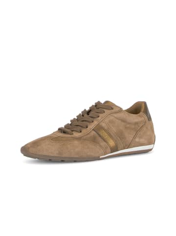 Gabor Sneaker low in braun