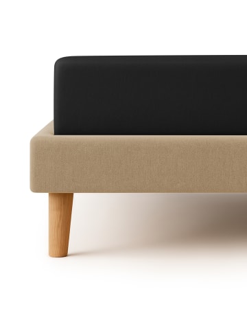 Cats Collection Spannbetttuch Feinbiber in schwarz