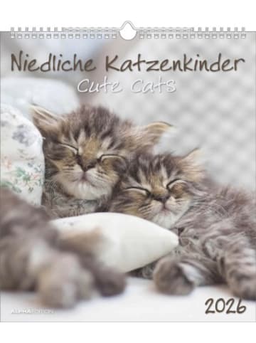 TeNeues Calendars & Stationery Kalender - Alpha Edition - Niedliche Katzenkinder 2026 - Wandkalender 30×