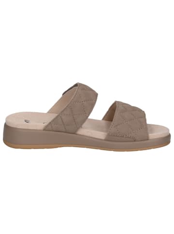 Caprice Pantolette in MUD SUEDE