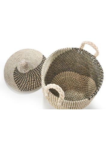 kobolo Aufbewahrungskorb ZYRA25 in Beige