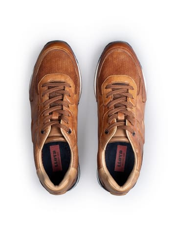 LLOYD Schuhe ENOS in BRAUN