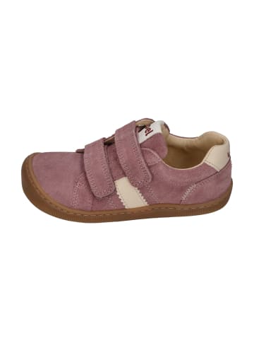 KOEL Sneaker Low DENIS SUEDE 3.0 in rosa