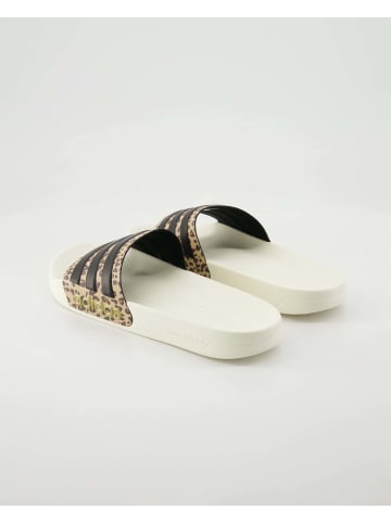 adidas Badeschuhe in Beige