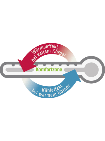 f.a.n. Frankenstolz Kopfkissen Klima Activ Plus 40x80 cm in weiß
