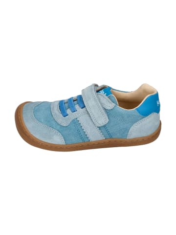 KOEL Sneaker Low DYLAN COTTON 3.0 in blau