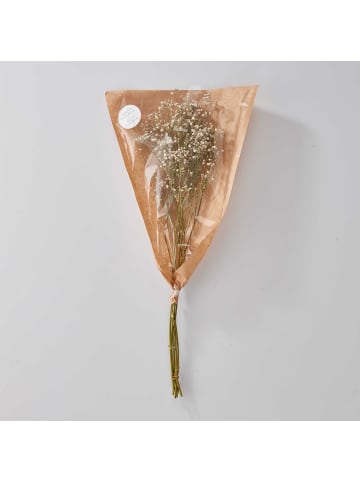 Butlers Butlers Trockenblume FLOWER MARKET Schleierkraut in Natural