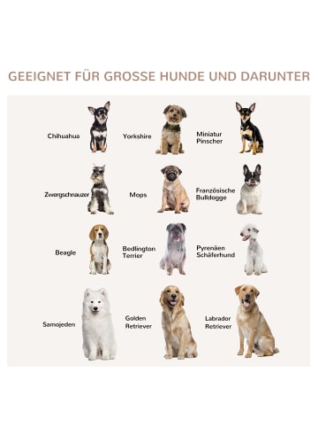 Pawhut Hundekäfig Weiß 106B x 60T x 76H cm