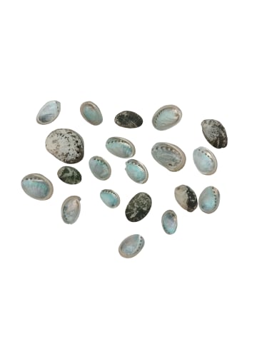 MeinVIPShop Exotisches Muschelset 20 Stück