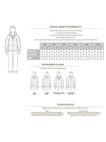 CARHARTT  Funktionsjacke "SD Bonded Detroit 105001" in Braun