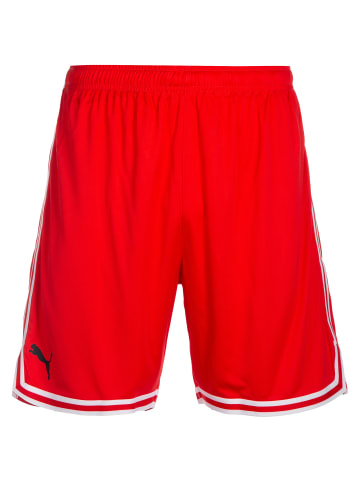 Puma Trainingsshorts Hoops Team Game in rot / weiß