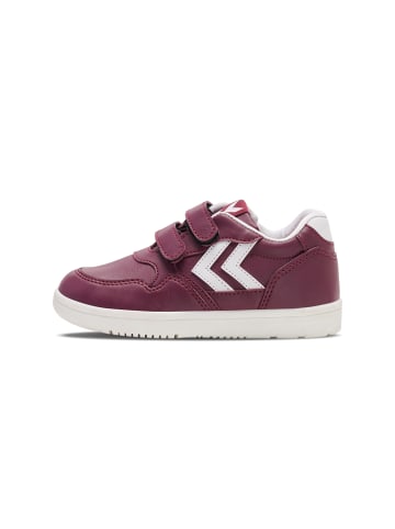 Hummel Hummel Sneaker Camden Jr Kinder in ROAN ROUGE