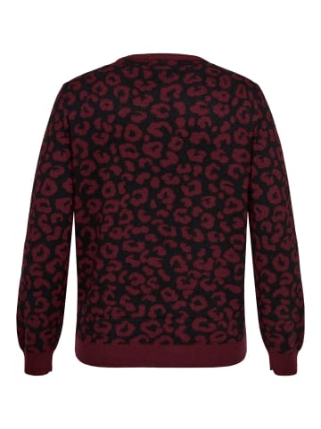 ONLY Carmakoma Strickpullover in Cabernet