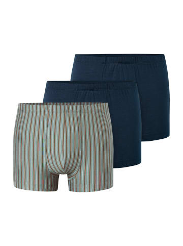 Schiesser Trunk 95/5 in sortiert 12