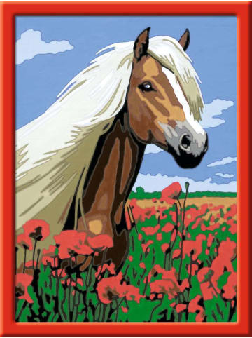 Ravensburger Malprodukte CreArt, Malen nach Zahlen Kinder - Haflinger Malen nach Zahlen Kinder Ab 7 Jahre in bunt