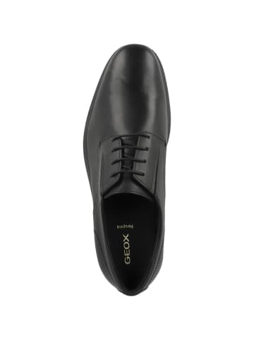 Geox Businessschuhe U Dublin in schwarz