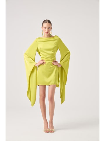 Holly Lolly Kleid in Grün