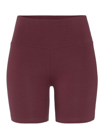 LASCANA Shorts in weinrot