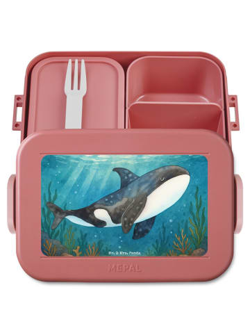 Mr. & Mrs. Panda Brotdose Orca Design ohne Spruch in Rot Pastell