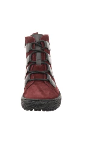Hartjes Stiefeletten/Boot in rot