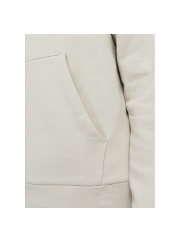 Jack & Jones Sweatshirt in moonbeam