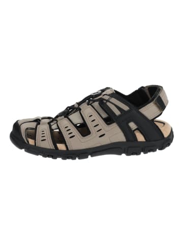 Geox Wanderschuhe in Taupe