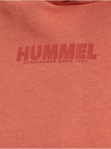 Hummel Hoodie Hmllegacy Woman Cropped Hoodie in APRICOT BRANDY