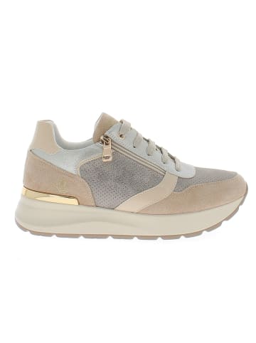 Armata di Mare Sneaker AMDS61H10-BEIGE-BRONZE Beige