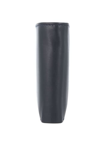 Esquire Harry Geldbörse Leder 12 cm blau