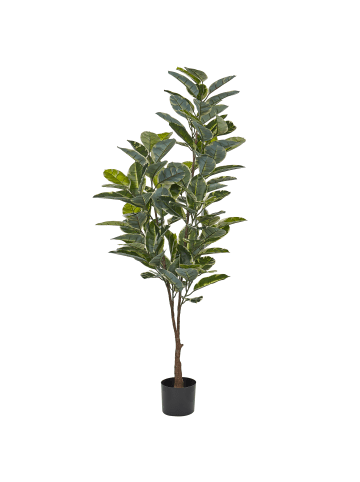 Beliani Kunstpflanze FICUS ELASTICA in Grün/Schwarz - (W) 66 x (H) 160 x (L) 66 cm