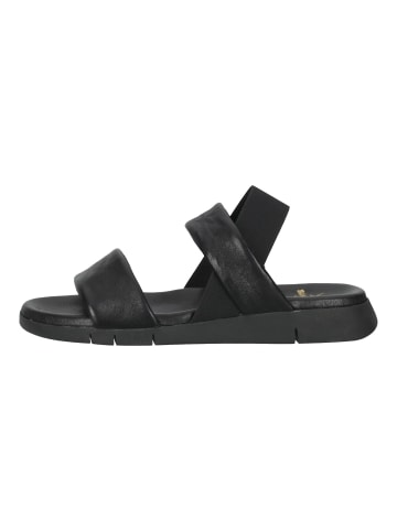 Sansibar Sandalen in Schwarz